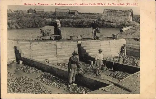 Ak La Tremblade Charente Maritime, Huitres de Marennes, Etablissements d'Expedition Emile Peny