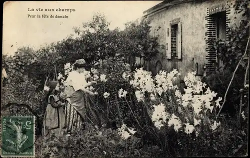 Ak La vie aux champs, pour la fete dde demain, Frau plückt Blumen