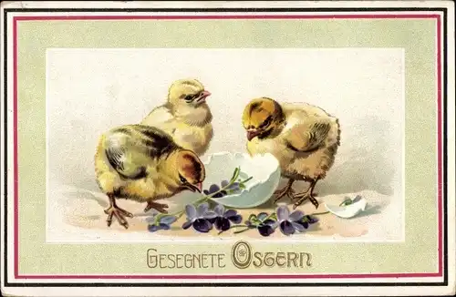 Ak Frohe Ostern, Küken, Eierschale, Veilchen