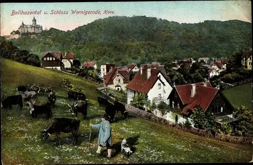 Ak Wernigerode am Harz, Bollhasental und Blick zum Schloss, Hirte mit Rinderherde