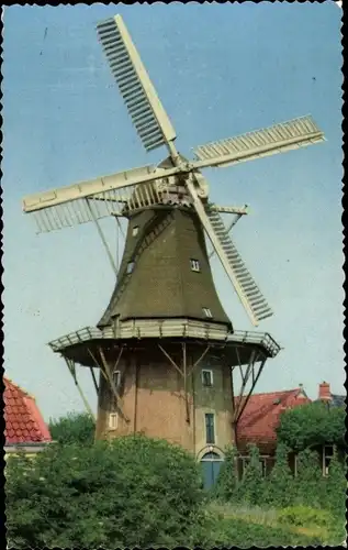 Ak Echte Hollandse molen, Windmühle
