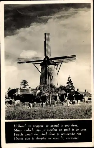 Ak Holland, Windmühle, Windmolen