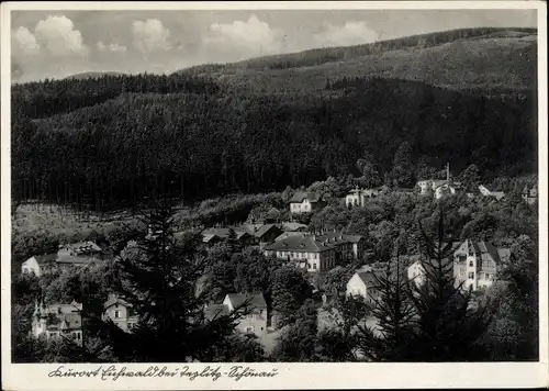 Ak Dubí Eichwald Region Aussig, Gesamtansicht