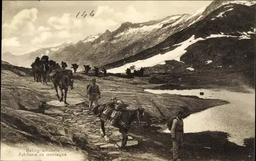 Ak Schweizer Armee, Gebirgsartillerie, Artillerie de montagne, Gebirgstruppen auf dem Marsch