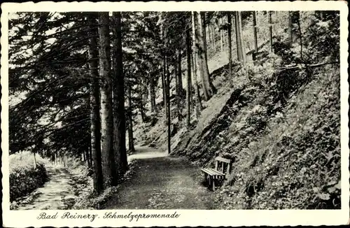 Ak Duszniki Zdrój Bad Reinerz Schlesien, Schmelzepromenade