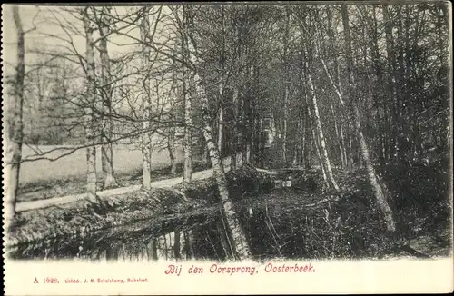 Ak Oosterbeek Renkum Gelderland, Bij den Oorsprong