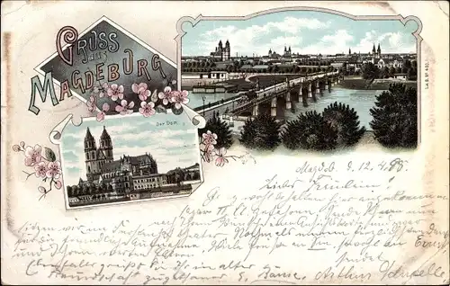 Litho Magdeburg an der Elbe, Stadtpanorama, Dom