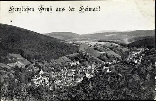 Ak Ruhla in Thüringen, Ortschaft mit Landschaftsblick