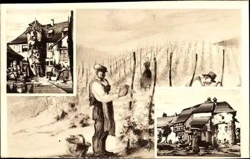 Ak Strasbourg Straßburg Elsass Bas Rhin, Teilansicht, Traubenlese, Vins d'Alsace