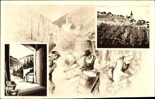 Ak Strasbourg Straßburg Elsass Bas Rhin, Weinberg, Ortsansichten, Weinlese, Vins d'Alsace