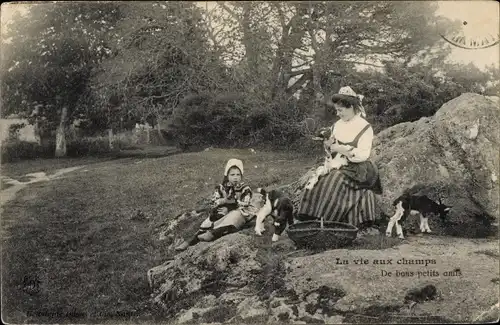 Ak La vie aux champs, de bons petits amis