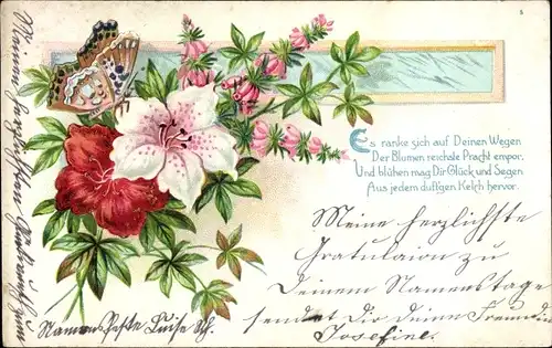 Ak Schmetterling auf Blüten, Blumen, Blätter, Lilien