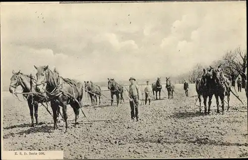 Foto Ak Bauern bei Ackerarbeit, Pferde, Landwirtschaft
