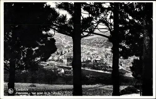 Ak Echternach Luxemburg, Panorama, Vue prise de la Nuck