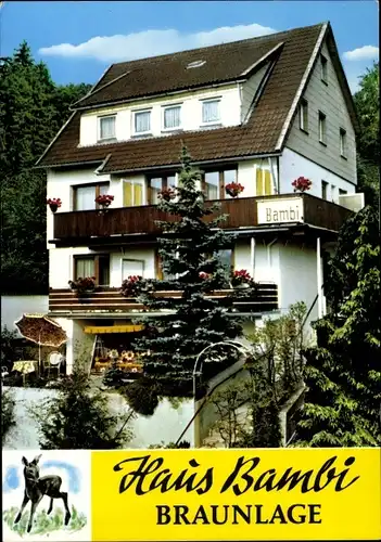 Ak Braunlage im Oberharz, Haus Bambi, Am Fichtenhang 6, Rehkitz