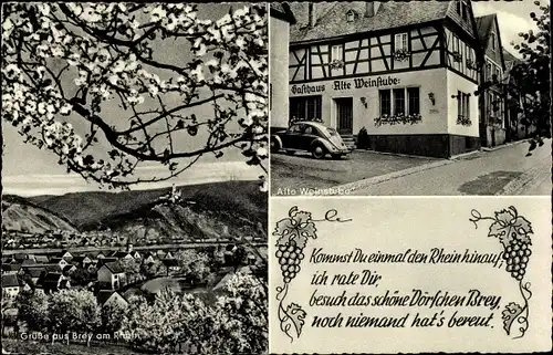 Ak Brey am Rhein, Gasthaus Pension Alte Weinstube, Panorama, Gedicht