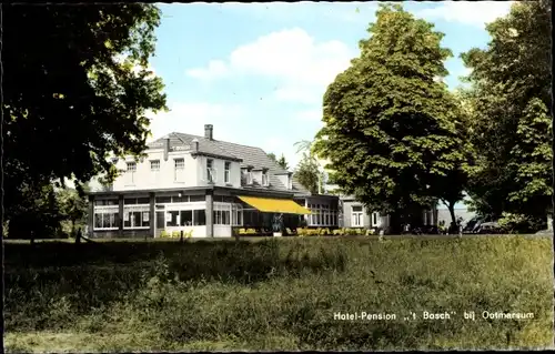 Ak Ootmarsum Twente Overijssel Niederlande, Hotel-Pension 't Bosch