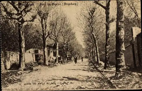 Ak Konstantinopel Istanbul Türkei, Bois de Beycos