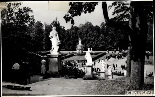 Foto Leningrad Sankt Petersburg Russland, Schlosspark Peterhof ?, 1956