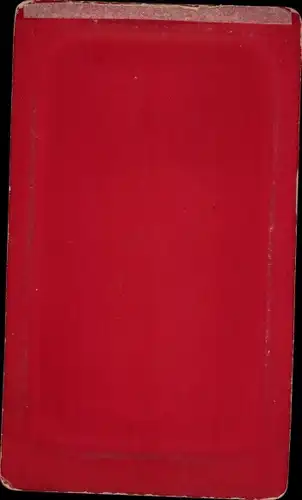 Foto Kleinkind mit Dreirad, Portrait, Holzpferd