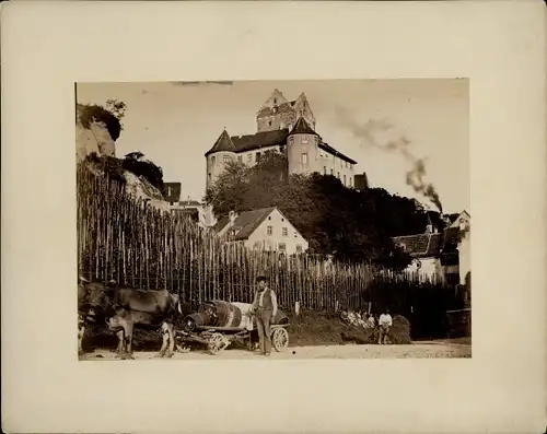 Foto Meersburg am Bodensee, Burg, Viehwagen, Bauer