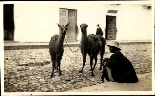 Foto Lamas, Straßenpartie, Indio, um 1920