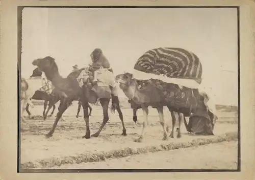 Foto um 1900, Kamele, Karawane, Beduinen