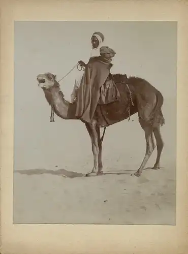 Foto um 1900, Arabischer Reiter auf einem Kamel