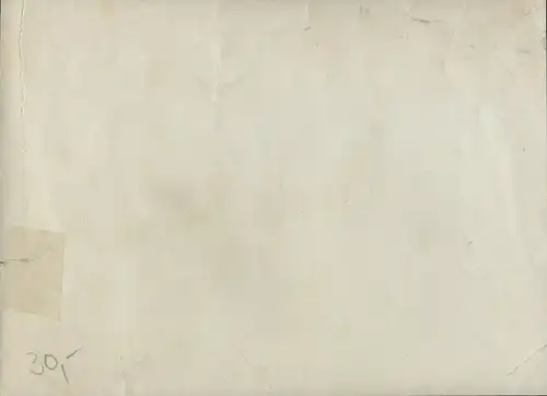 Foto Fußballmannschaften in Trikots, Gruppenbild