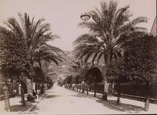 Foto Nervi Genova Genua Liguria, Viale delle Palme