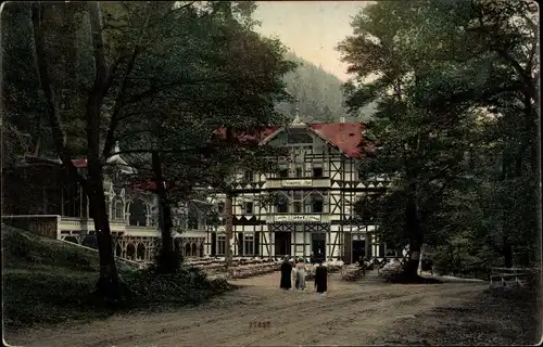 Ak Ilsenburg am Nordharz, Ilsetal, Partie mit Hotel Prinzess Ilse