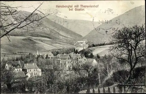 Ak Goslar am Harz; Herzbergtal mit Theresienhof, Panorama