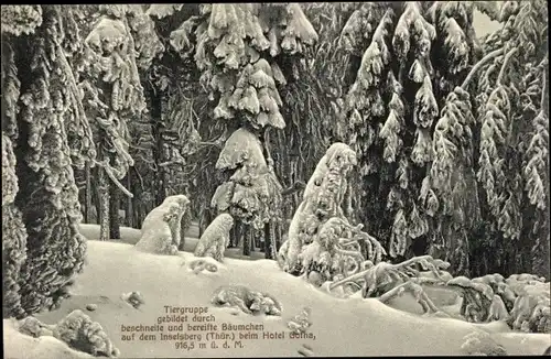 Ak Brotterode in Thüringen, Tiergruppe auf dem Inselsberg gebildet durch Schnee