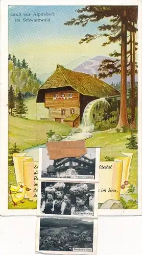 Leporello Ak Alpirsbach im Schwarzwald, Mühle, Trachten, Panorama