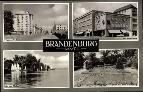 Ak Brandenburg an der Havel, Friedensstraße, HO Warenhaus, Friedensgarten auf dem Marienberg