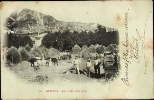 Ak Sisteron Alpes de Haute Provence, Heuernte