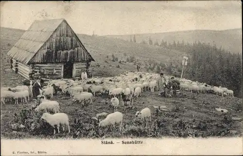 Ak Luhačovice Bad Luhatschowitz Region Zlin, Sennhütte