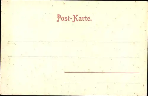 Stereo Ak Florida USA, Weg im Urwald