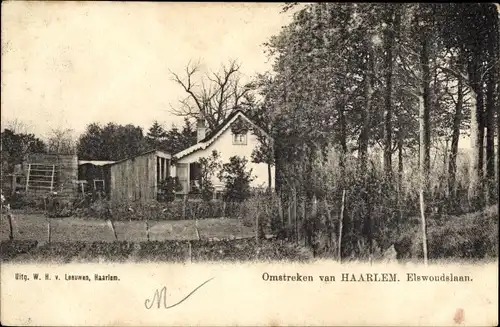 Ak Haarlem Nordholland Niederlande, Elswoudslaan