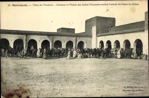 Ak Marrakesch Marokko, Fetes du Mouloud, Chevaux et Mulets des riches Marocains, Palais du Sultan