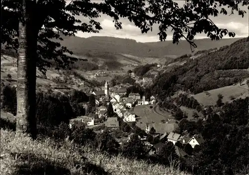 Ak Bad Peterstal Griesbach im Schwarzwald Baden, Panorama