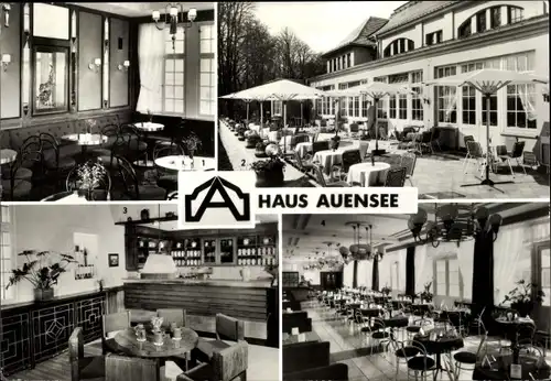 Ak Leipzig in Sachsen, Haus Auensee, Cafe Dekora, Bierstube, Restaurant Diana