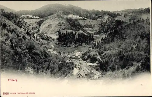 Ak Triberg im Schwarzwald, Panorama