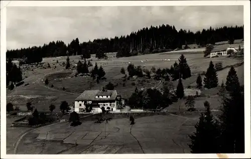 Ak Falkau Feldberg im Schwarzwald, Gasthaus und Pension z. Krone