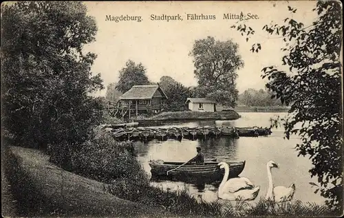 Ak Magdeburg an der Elbe, Stadtpark, Fährhaus, Mittag See, Schwäne