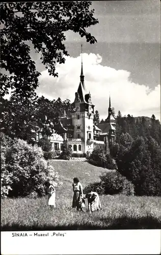 Ak Sinaia Rumänien, Muzeul Peleș