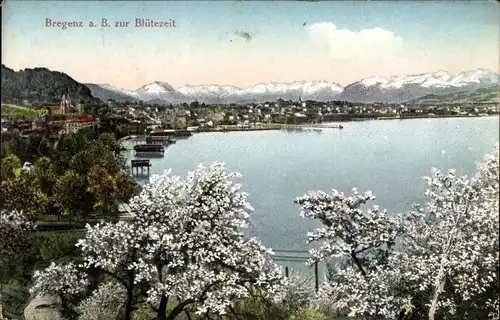 Ak Bregenz am Bodensee Vorarlberg, Panorama zur Blütezeit