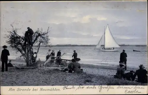 Ak Hamburg Ottensen Neumühlen, Am Strande bei Neumühlen, Segelboot, Passanten, Baum