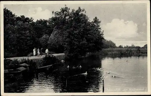 Ak Eggersdorf Brandenburg, Am Waldesrand