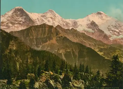 Foto Schynige Platte Kanton Bern, Landschaft, Gebirge